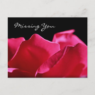 Carte Postale Vous Manquez Pétales De Rose Rose