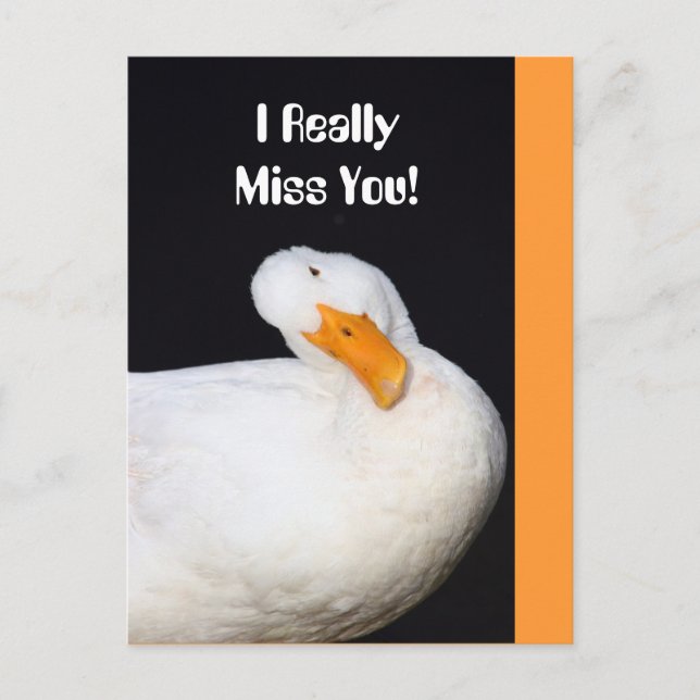 Carte Postale Vous Manquez Vraiment ! Canard blanc mou (Devant)