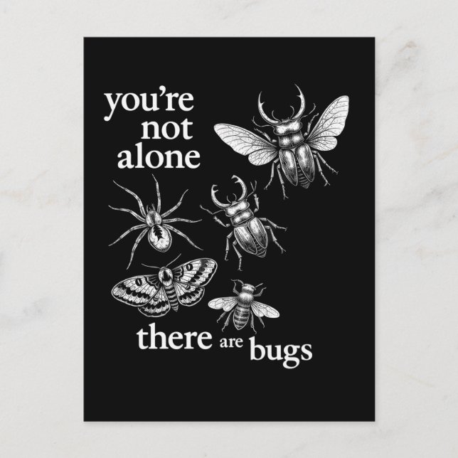 Carte Postale Vous n'êtes pas seul, il y a des insectes (Devant)