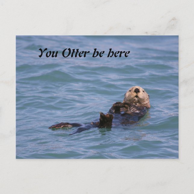 Carte Postale Vous Otter êtes ici (Devant)