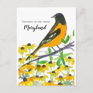 Carte Postale Vous pensez de Maryland Baltimore Oriole