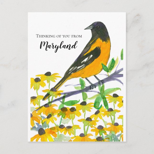 Carte Postale Vous pensez de Maryland Baltimore Oriole (Devant)