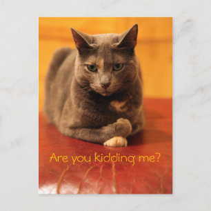 Carte Postale Vous plaisantez ?