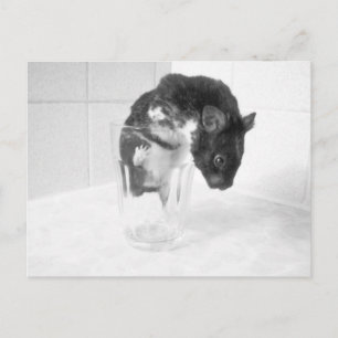 Carte Postale Vous voulez boire un verre ? ?