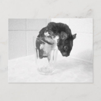 Carte Postale Vous voulez boire un verre ? ?
