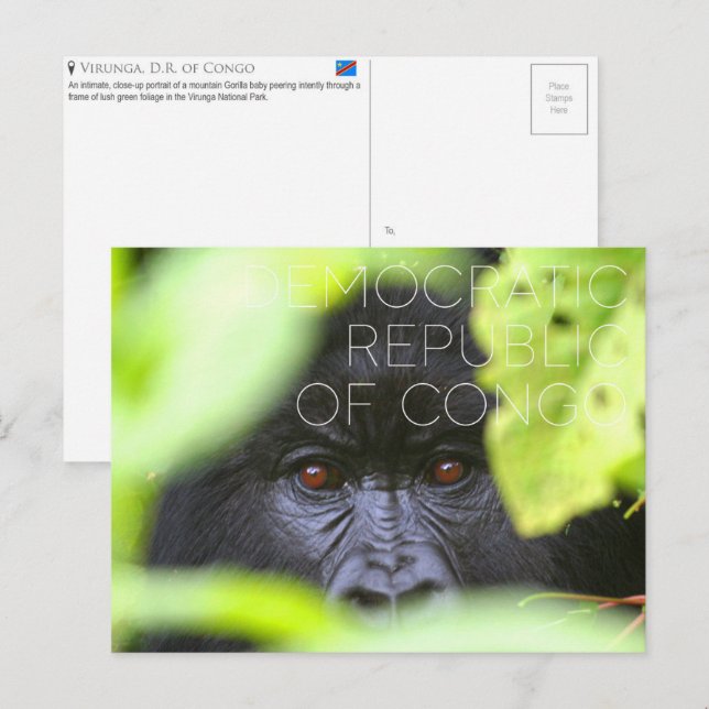 Carte Postale Voyage à Virunga, République démocratique du Congo (Devant / Derrière)