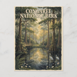 Carte Postale Voyage dans la forêt marécageuse du parc national