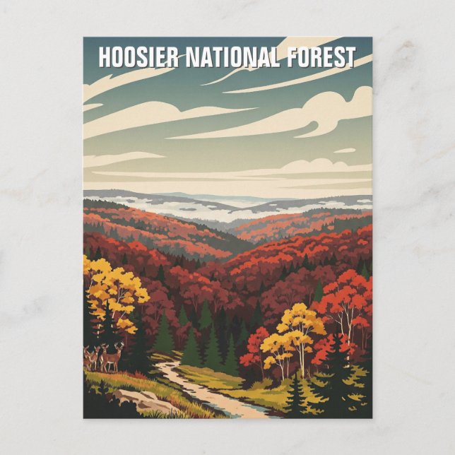 Carte Postale Voyage dans la forêt nationale d'Indiana Hoosier (Devant)