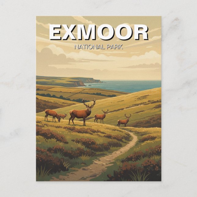 Carte Postale Voyage dans le parc national d'Exmoor (Devant)