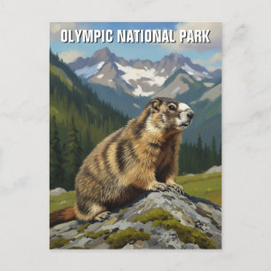 Carte Postale Voyage dans le parc national olympique de Washingt
