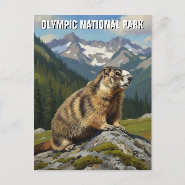 Carte Postale Voyage dans le parc national olympique de Washingt (Devant)