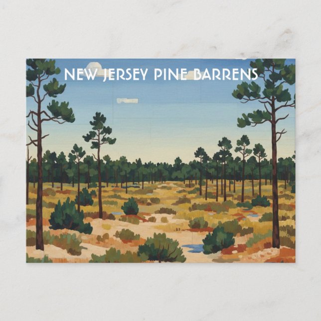 Carte Postale Voyage dans les Pine Barrens du New Jersey (Devant)