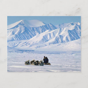 Carte Postale Voyage de chiens de traîneau, île de Baffin