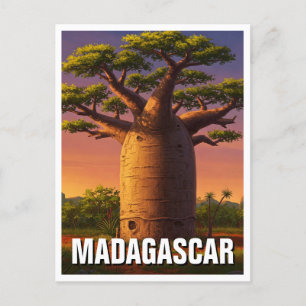 Carte Postale Voyage de l'arbre du baobab à Madagascar