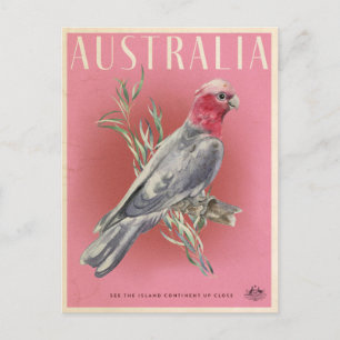 Carte Postale Voyage de perroquet australien vintage