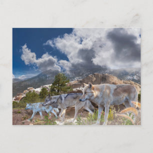 Carte Postale Voyage en famille de loups gris