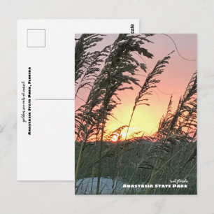 Carte Postale Voyage Floride - Anastasia Sea Oat Sunset