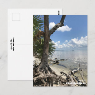 Carte Postale Voyage Floride - Plage de Cape San Blas