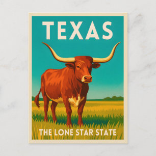 Carte Postale Voyage Rétro Vintage Texas Longhorn Bétail