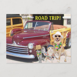CARTE POSTALE VOYAGE ROUTIER !