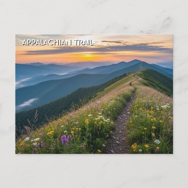 Carte Postale Voyage sur le sentier des Appalaches (Devant)
