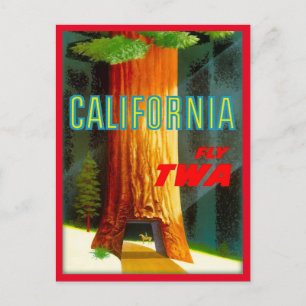 Carte Postale Voyage vintage de California Redwoods