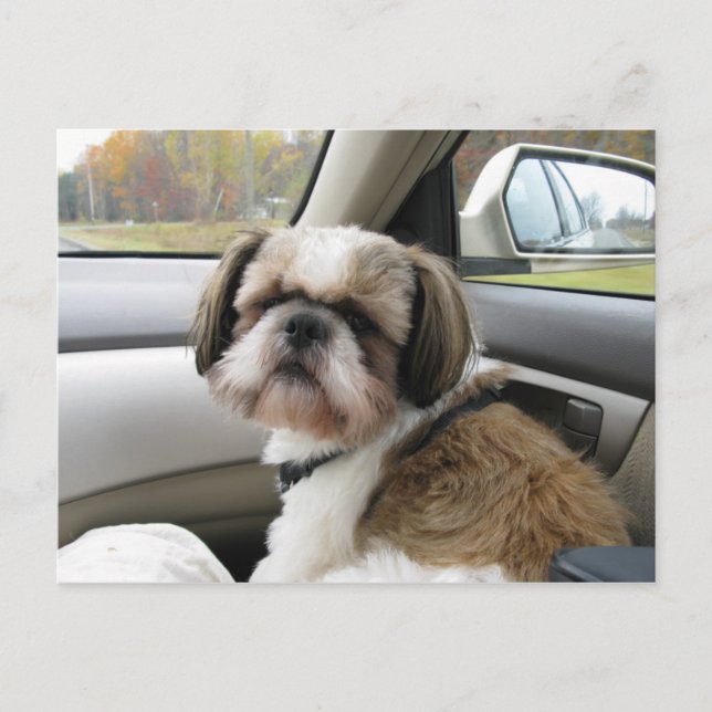 Carte Postale Voyageur ambulant (Devant)