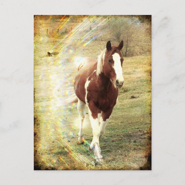 Carte Postale Voyant (Devant)