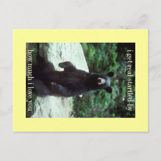 Carte Postale vraiment surpris