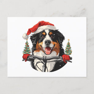 Carte Postale VTT bernois de Noël
