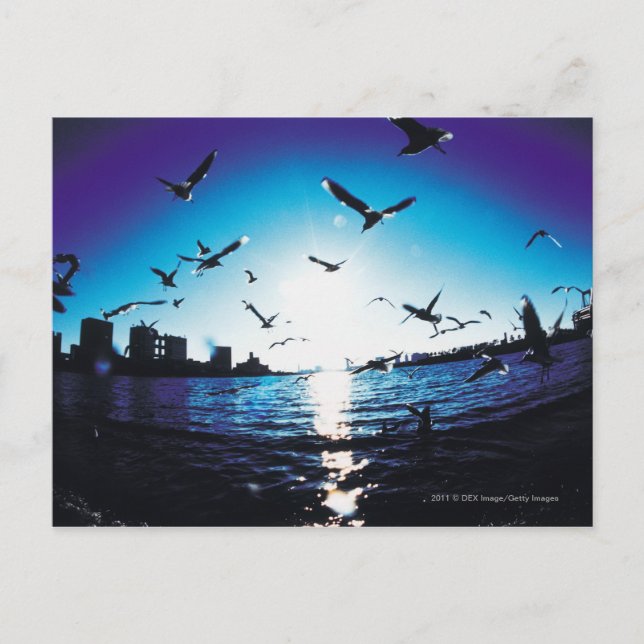 Carte Postale Vue aérienne de la baie de Tokyo, Japon (Devant)