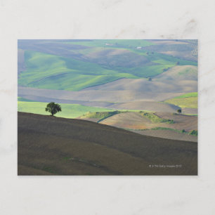 Carte Postale Vue aérienne du paysage rural près de Ronda,