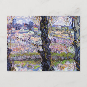 Carte Postale Vue d'Arles, verger en fleurs