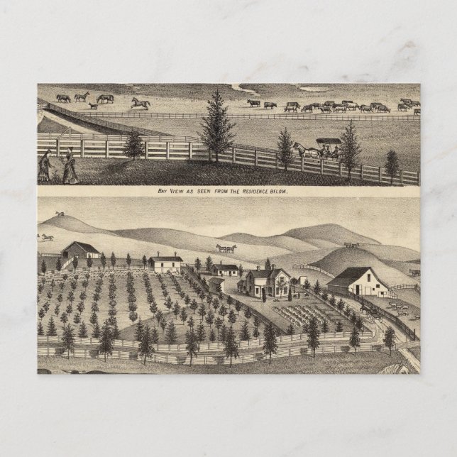 Carte Postale Vue de baie et résidence du Rose JR (Devant)