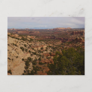 Carte Postale Vue de Canyonlands depuis le sentier Neck Springs