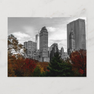 Carte Postale Vue de Central Park à New York