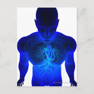 Carte Postale Vue de ci-dessus de la disposition des vaisseaux