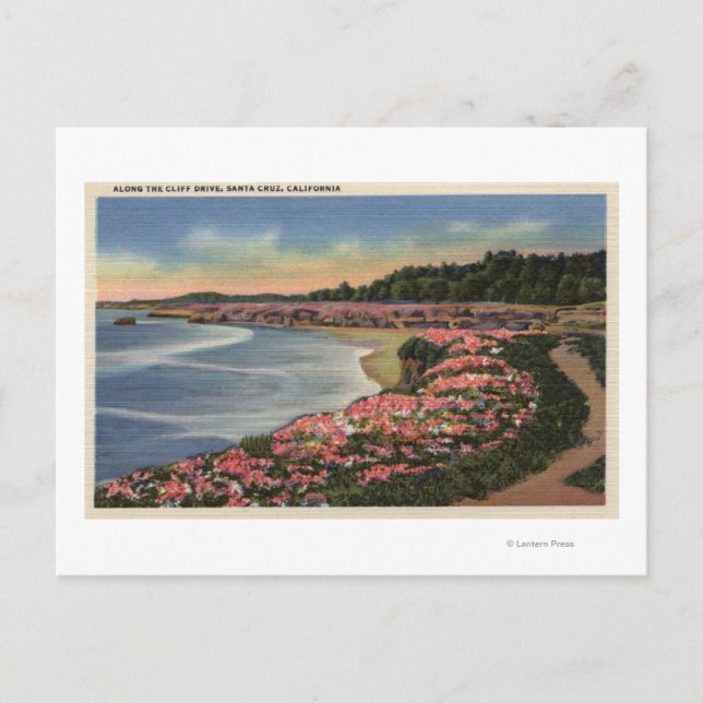 Carte Postale Vue de Cliff Drive sur Ocean, Beach et Flowers (Devant)