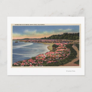 Carte Postale Vue de Cliff Drive sur Ocean, Beach et Flowers