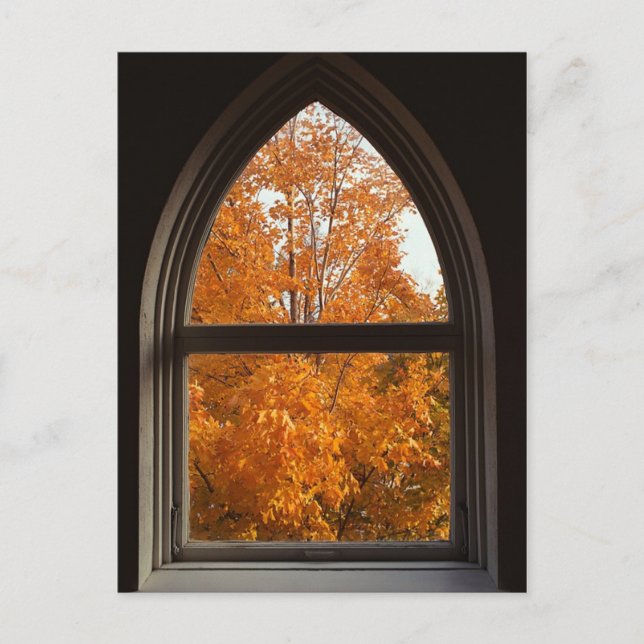 Carte Postale Vue de feuillage d'automne (Devant)