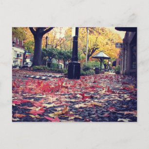 Carte Postale Vue de feuilles d'automne sur le trottoir