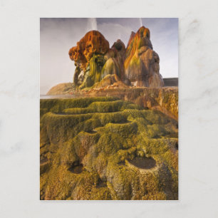 Carte Postale Vue de Fly Geyser