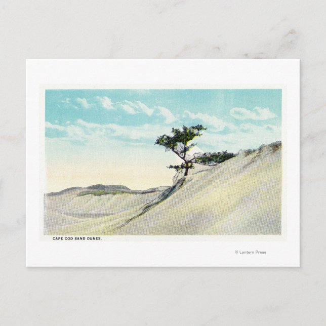 Carte Postale Vue de la Dorothy Bradford Steamer (Devant)