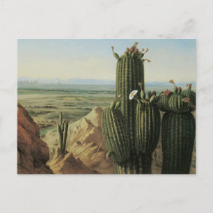Carte Postale Vue de la montagne Maricopa près de Rio Gila par P
