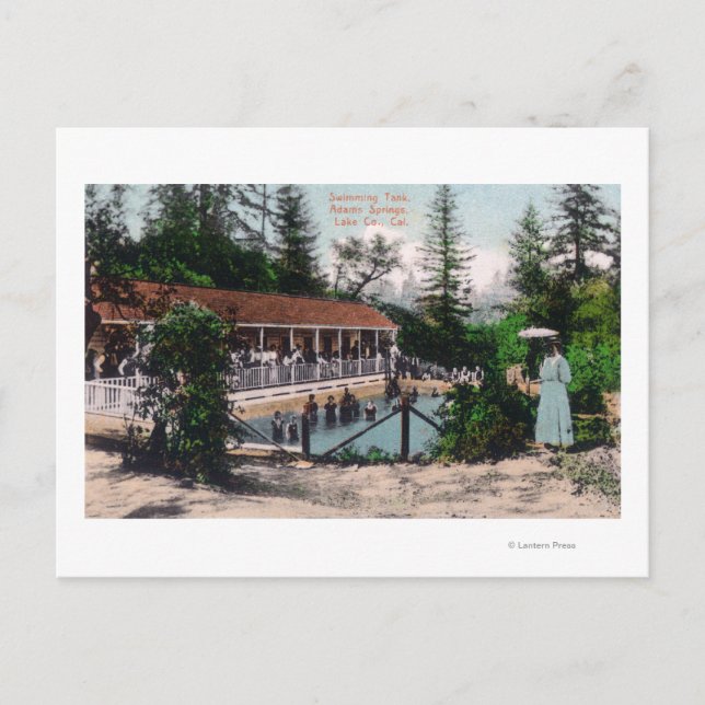 Carte Postale Vue de la piscineAdams Springs, CA (Devant)