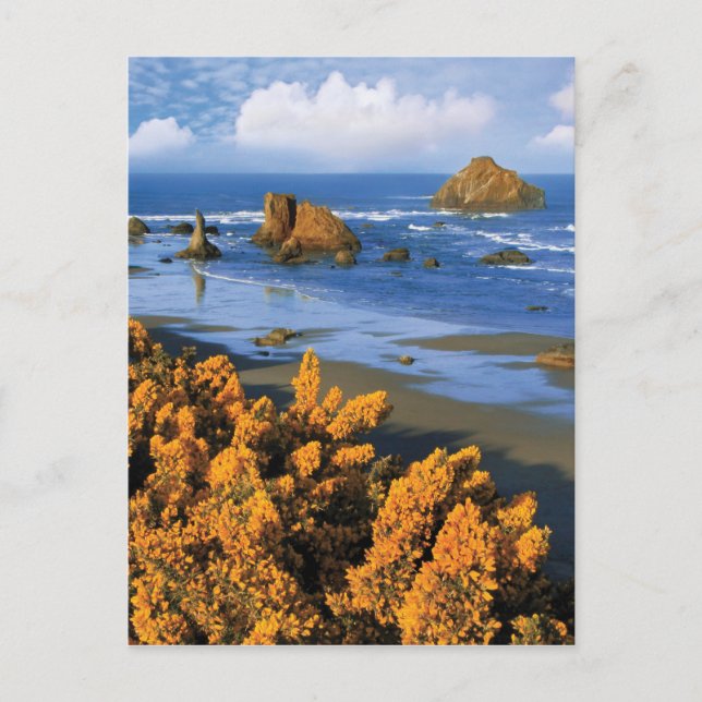 Carte Postale Vue de la plage de l'Oregon à Bandon (Devant)