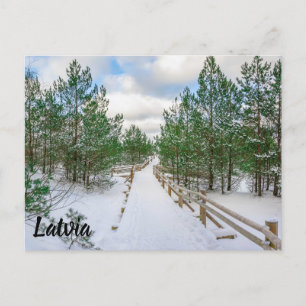 Carte Postale Vue de la promenade couverte de neige dans les pin