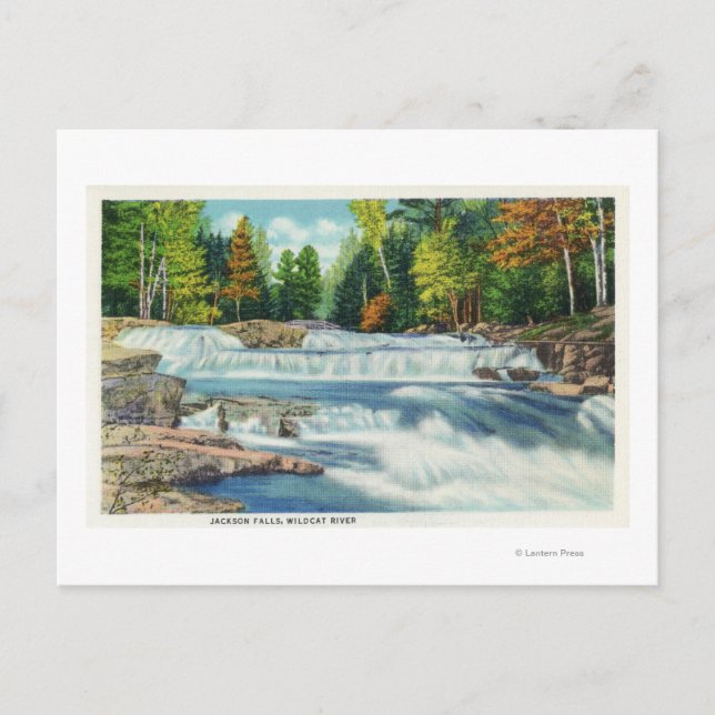 Carte Postale Vue de la rivière Wild Cat et des chutes Jackson (Devant)