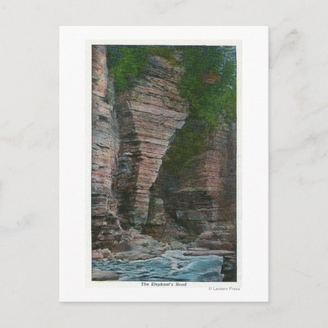 Carte Postale Vue de la tête d'éléphant (Devant)