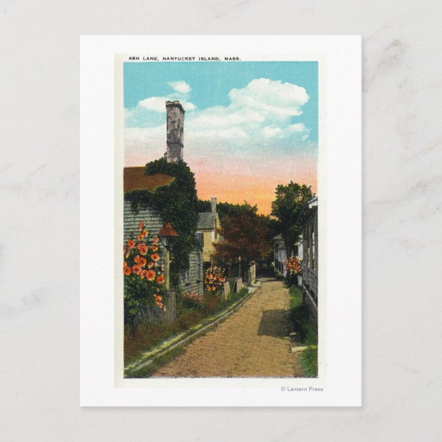 Carte Postale Vue de la voie des cendres (Devant)